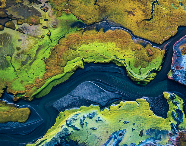 Natural Environment Background